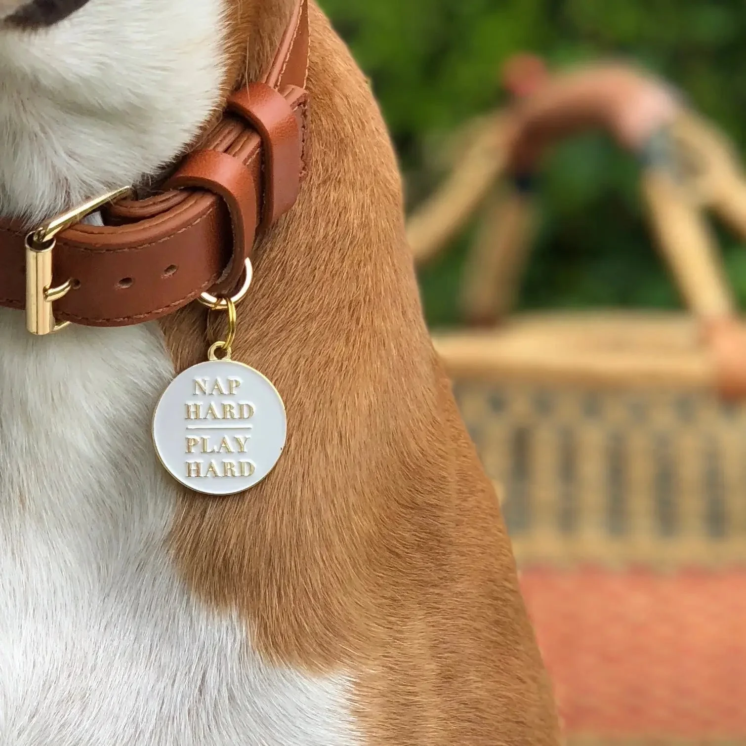 Nap Hard Play Hard Pet ID Tag - Image 2
