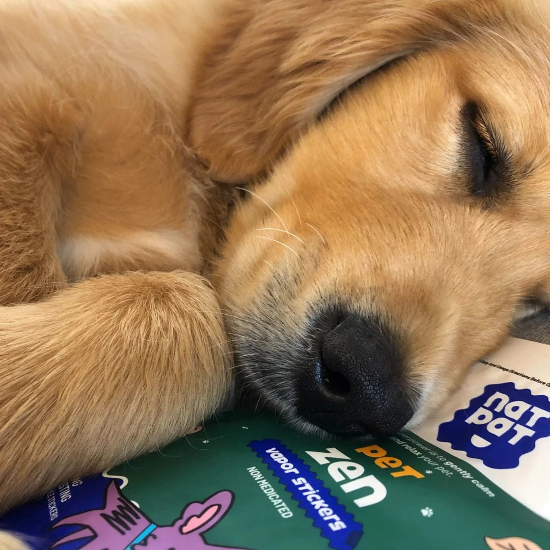 Natural Calming & Anti-Anxiety Pet Stickers - Image 5