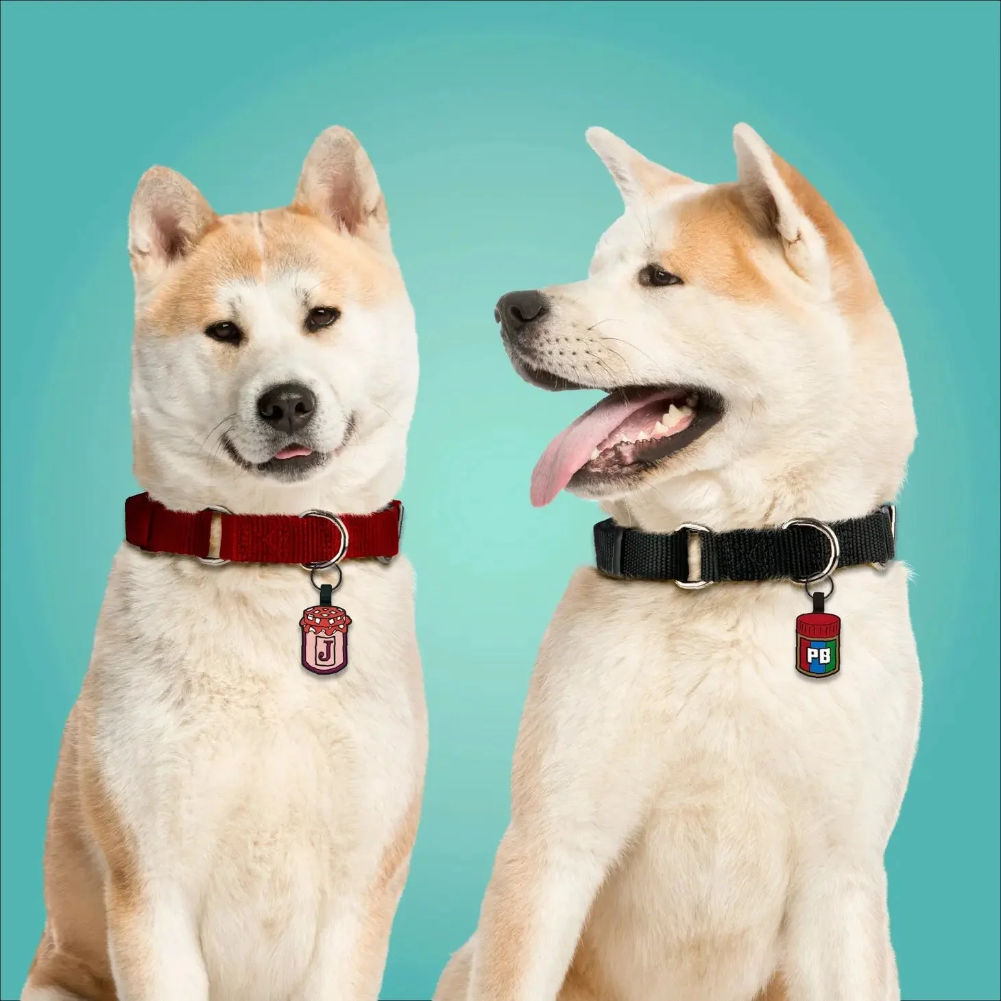 PB&J BFF Silicone Pet ID Tag Set - Image 3