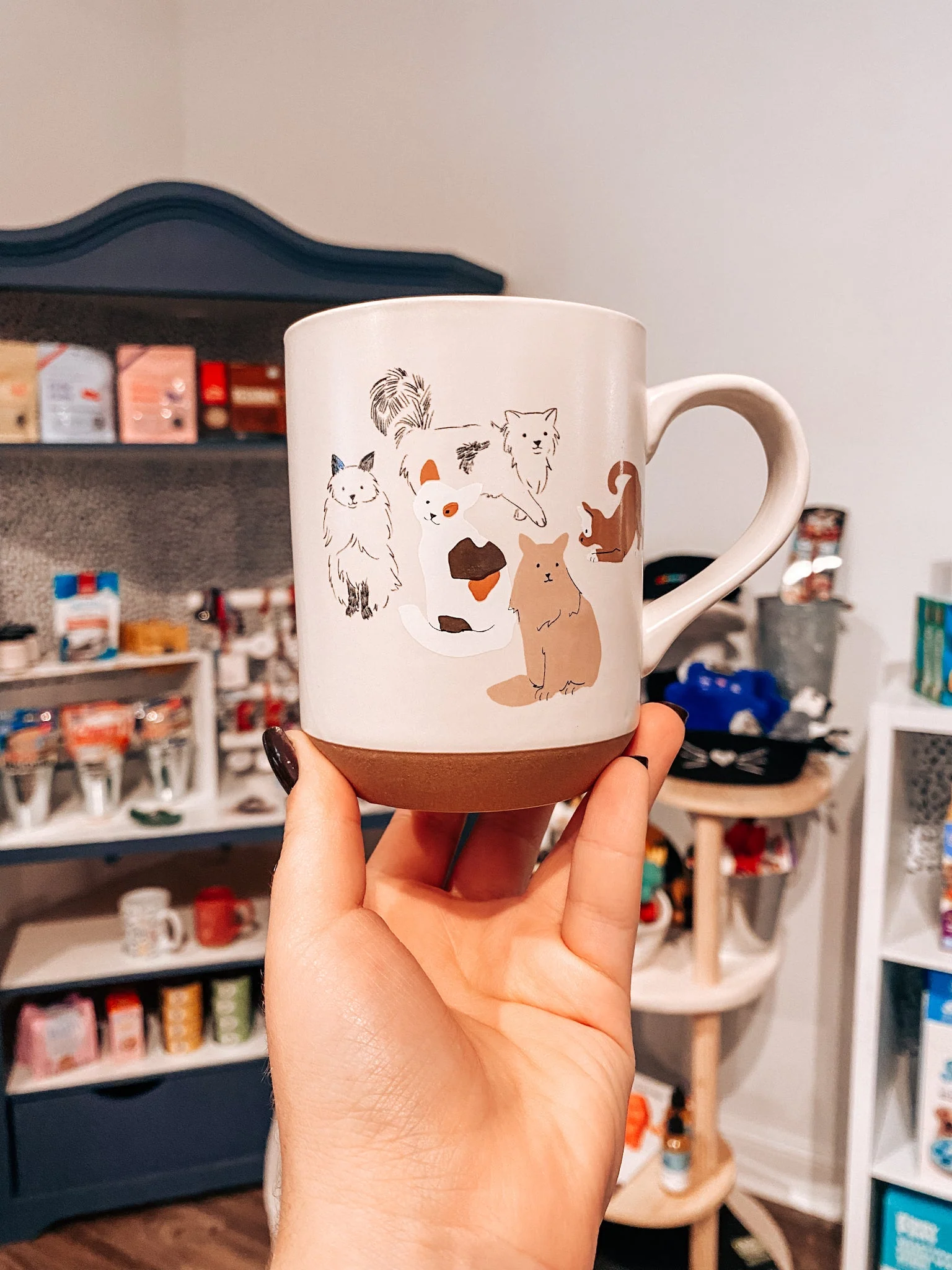 Pencil Cats Mug