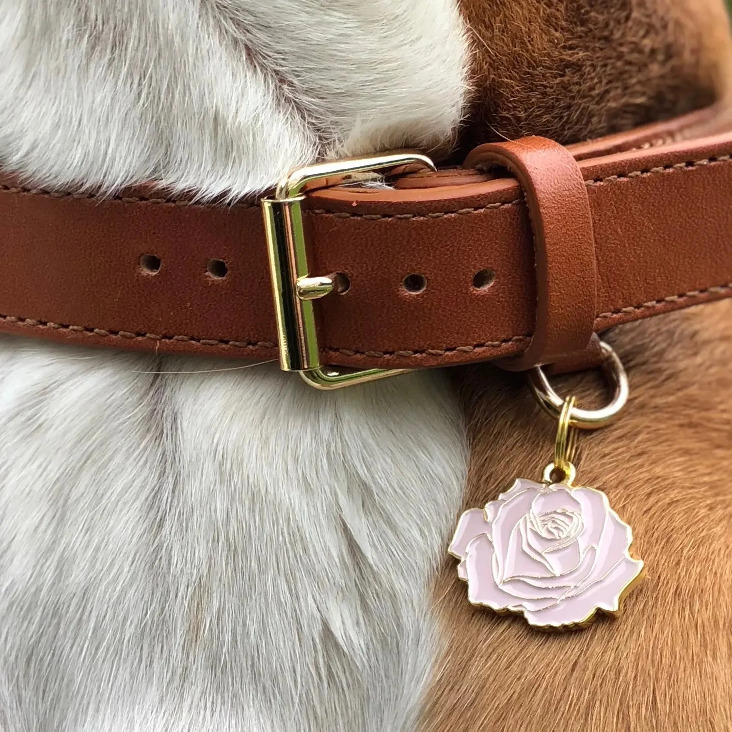 Pink Rose Pet ID Tag - Image 2