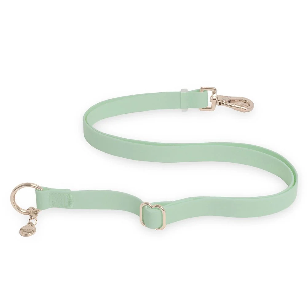 Pistachio Green Hands Free Leash 4-Way Extension - Image 2