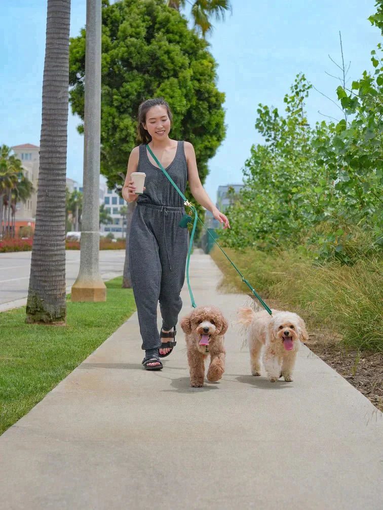 Pistachio Green Hands Free Leash 4-Way Extension - Image 3