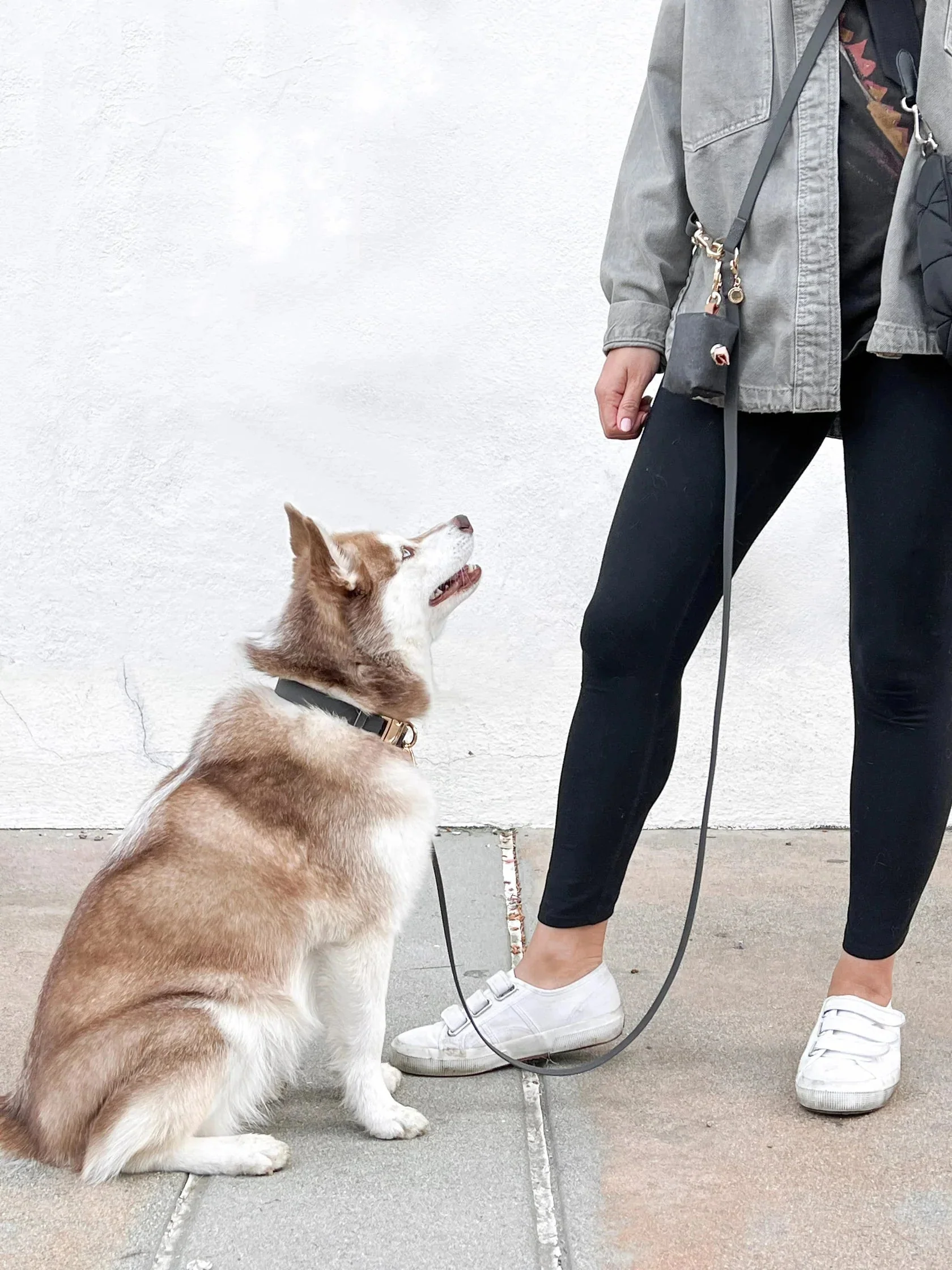 Pistachio Green Hands-Free Waterproof Leash - Image 4