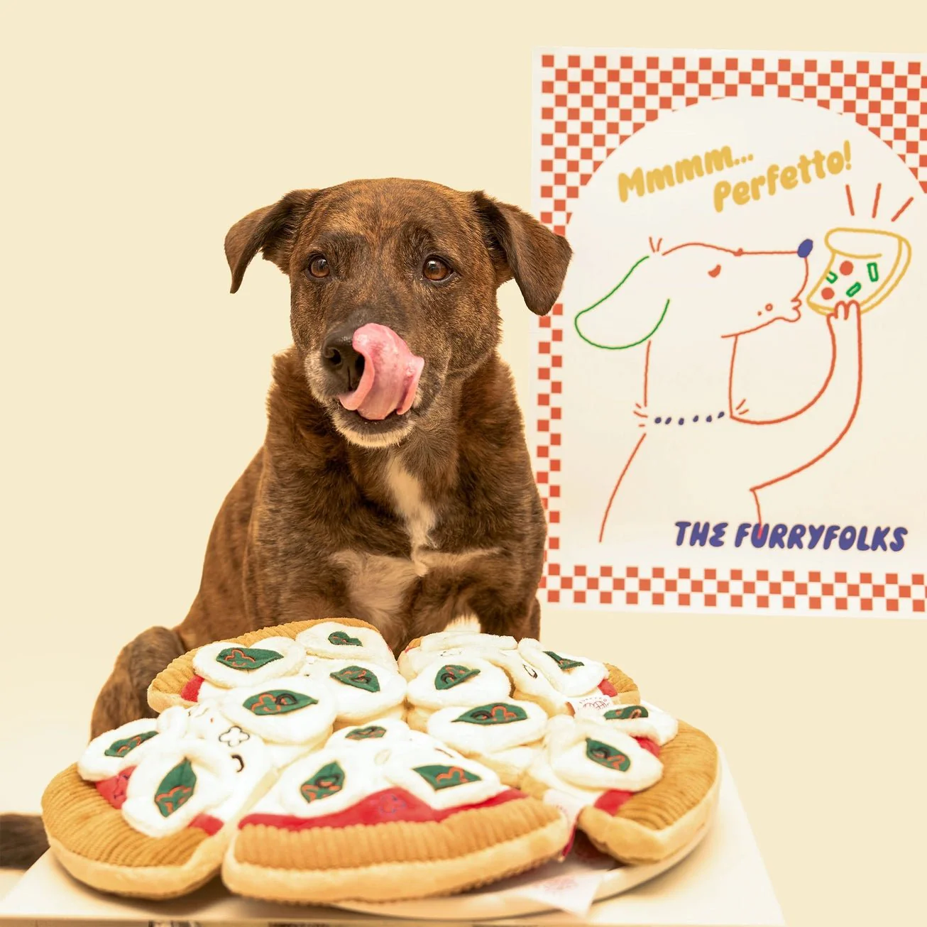 Pizza Nosework Toy - Image 10