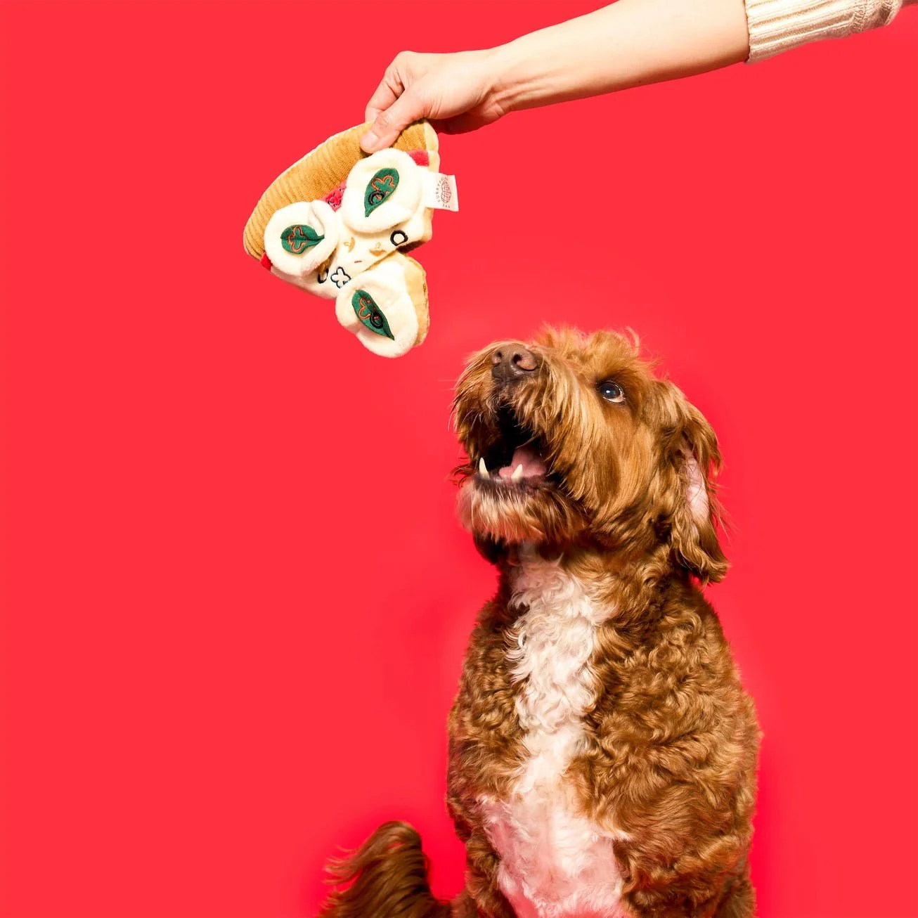 Pizza Nosework Toy - Image 3