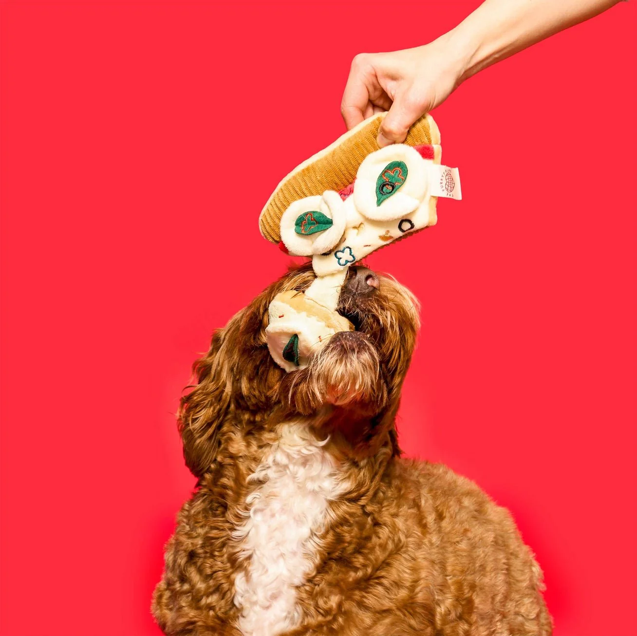 Pizza Nosework Toy - Image 4