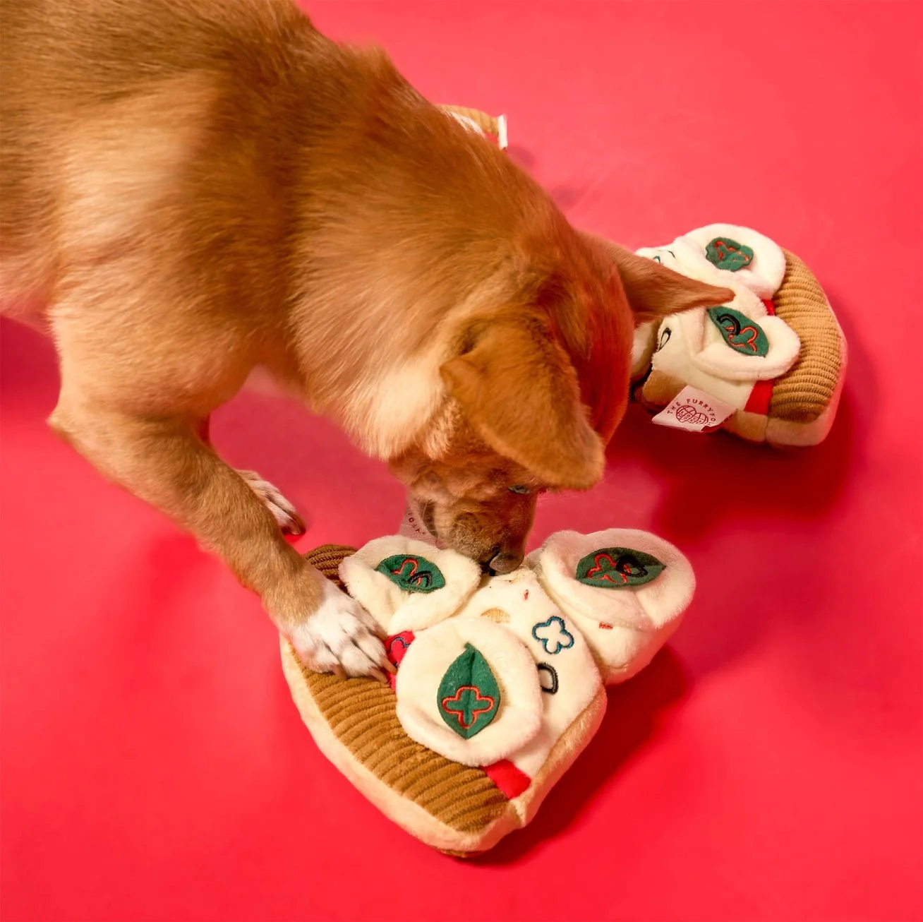 Pizza Nosework Toy - Image 5