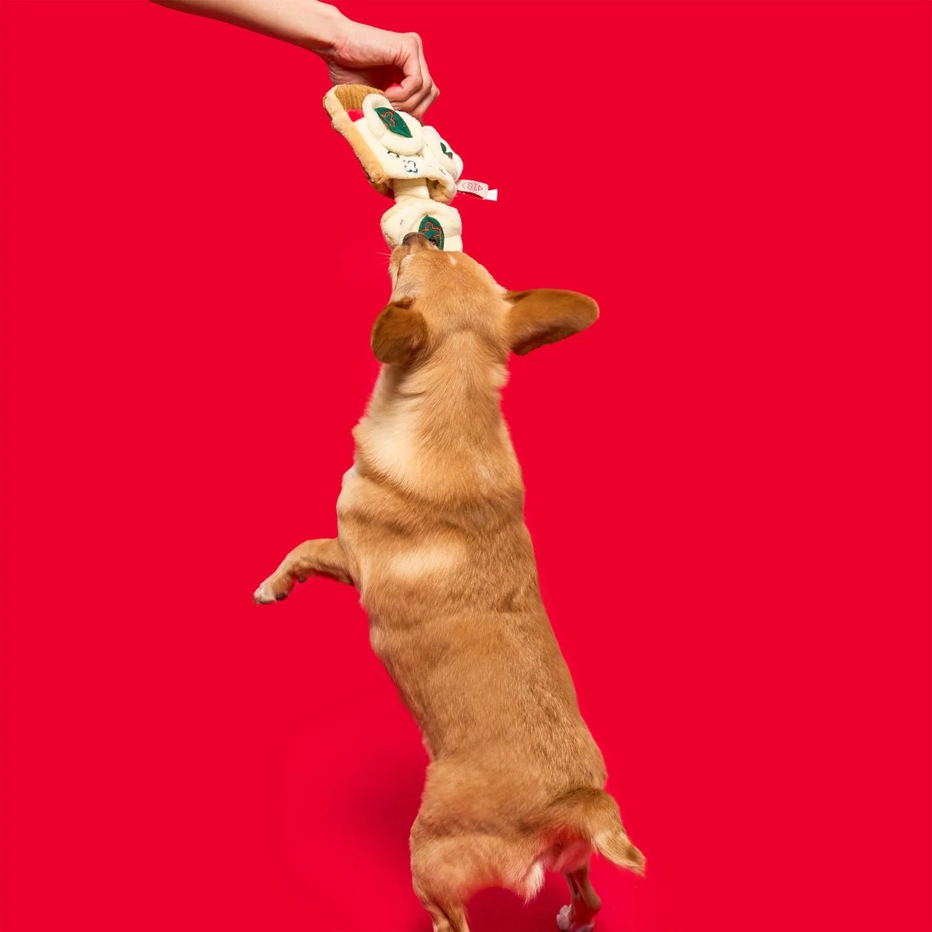 Pizza Nosework Toy - Image 6