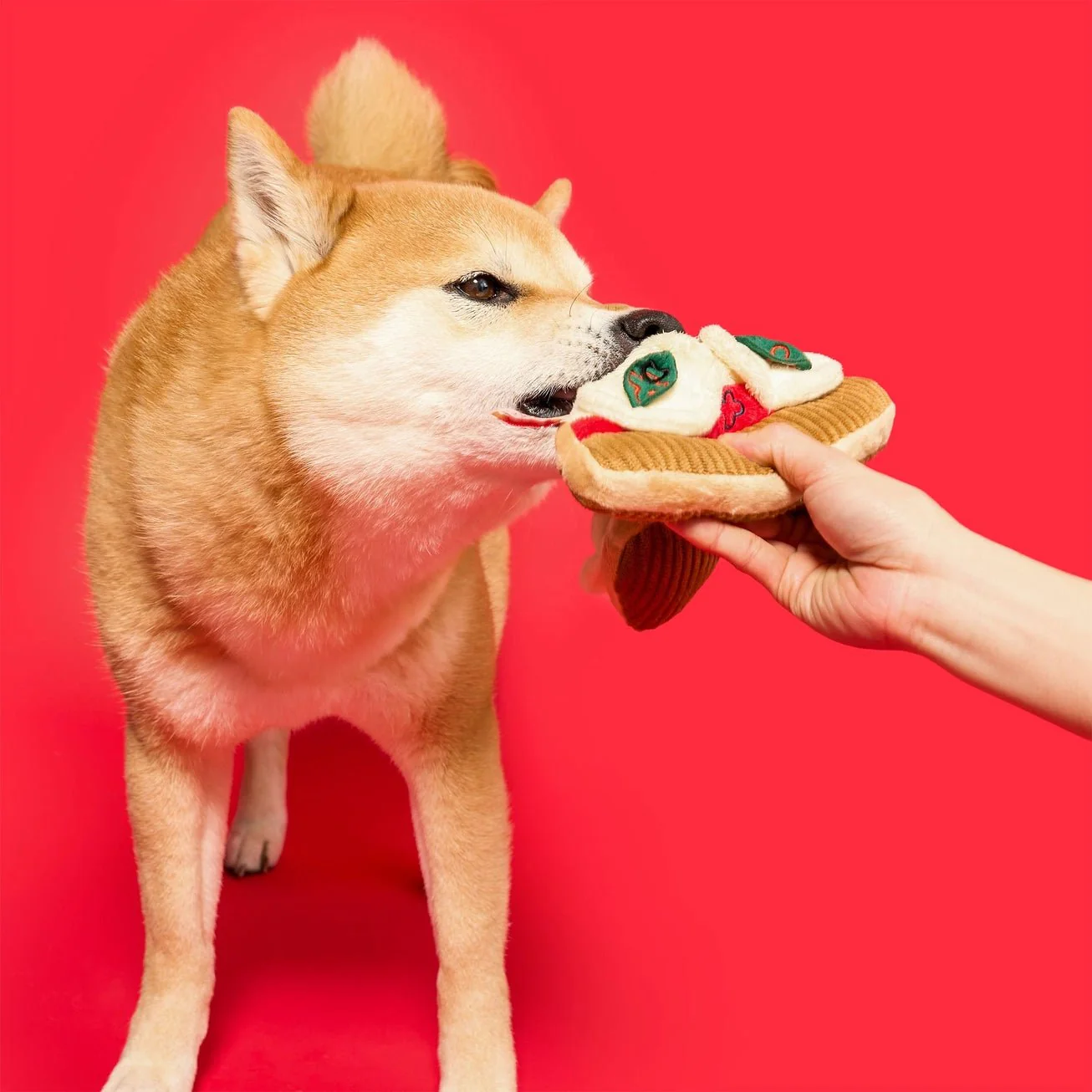 Pizza Nosework Toy - Image 7