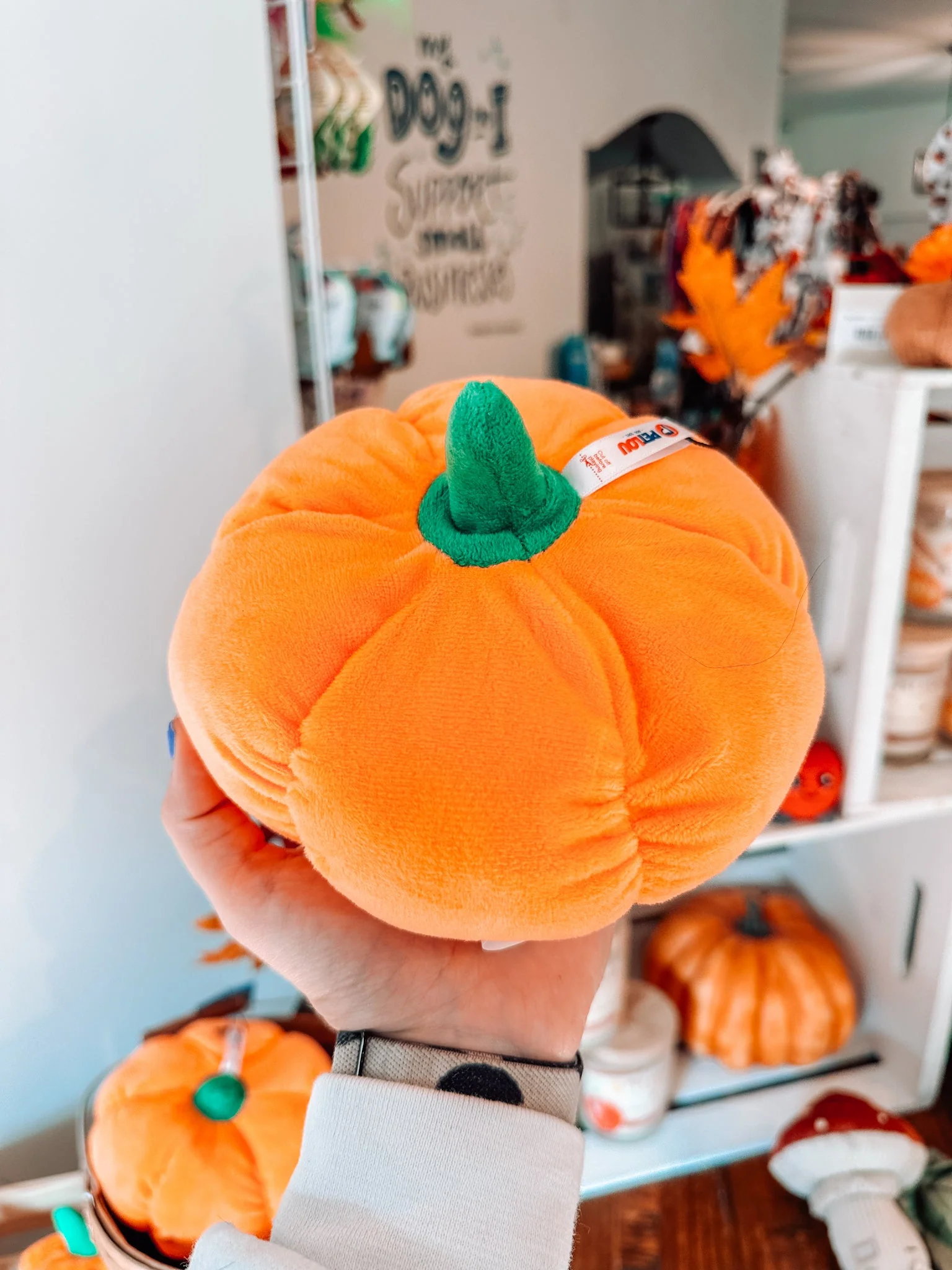 Pumpkin Plush Toy