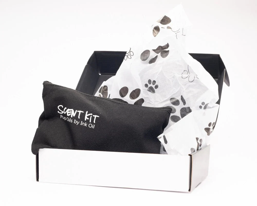 Beginners Pet Scent Work Kit - Image 2