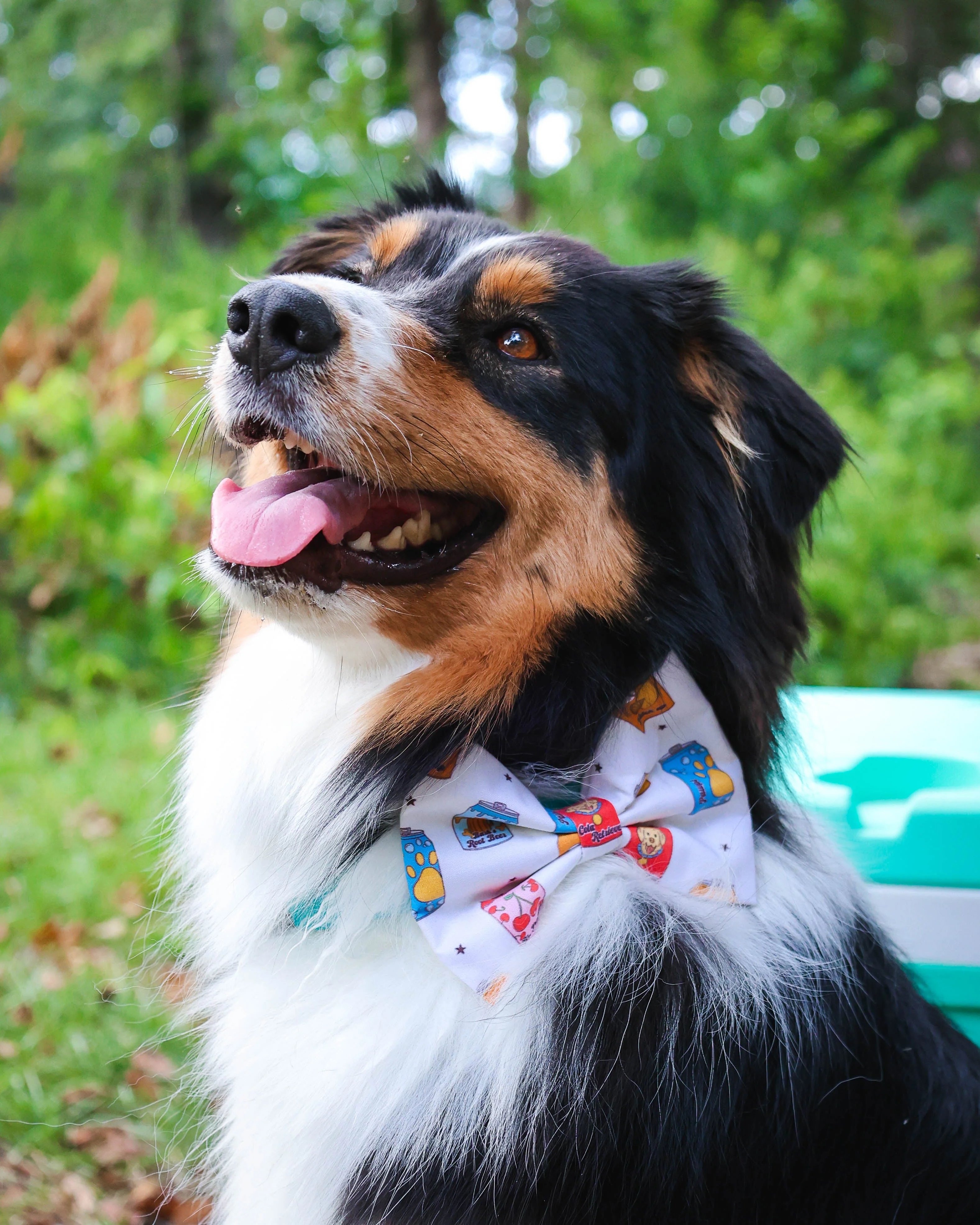 Pup Pop Pet Bowtie - Image 2