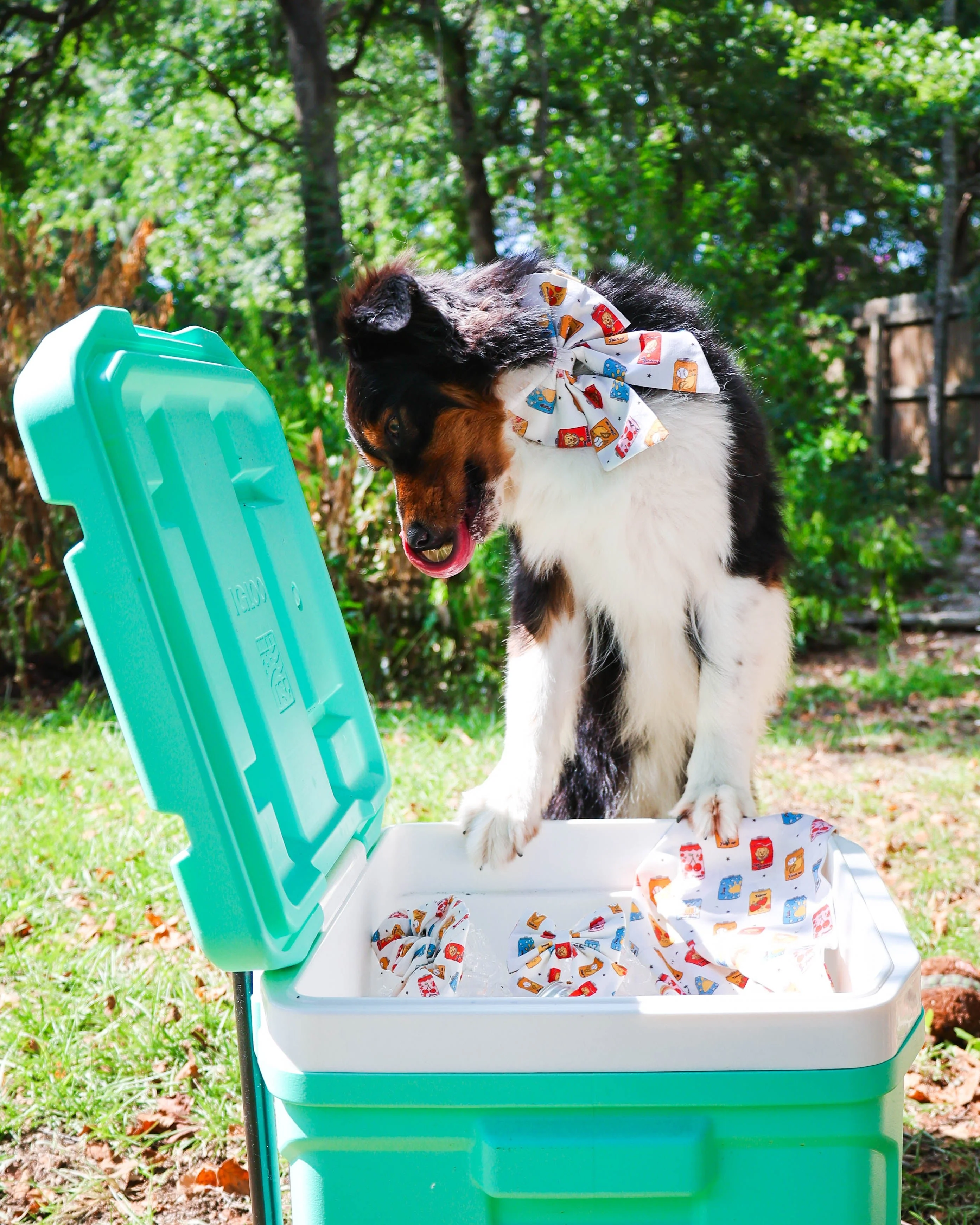 Pup Pop Pet Sailor Bow - Image 3