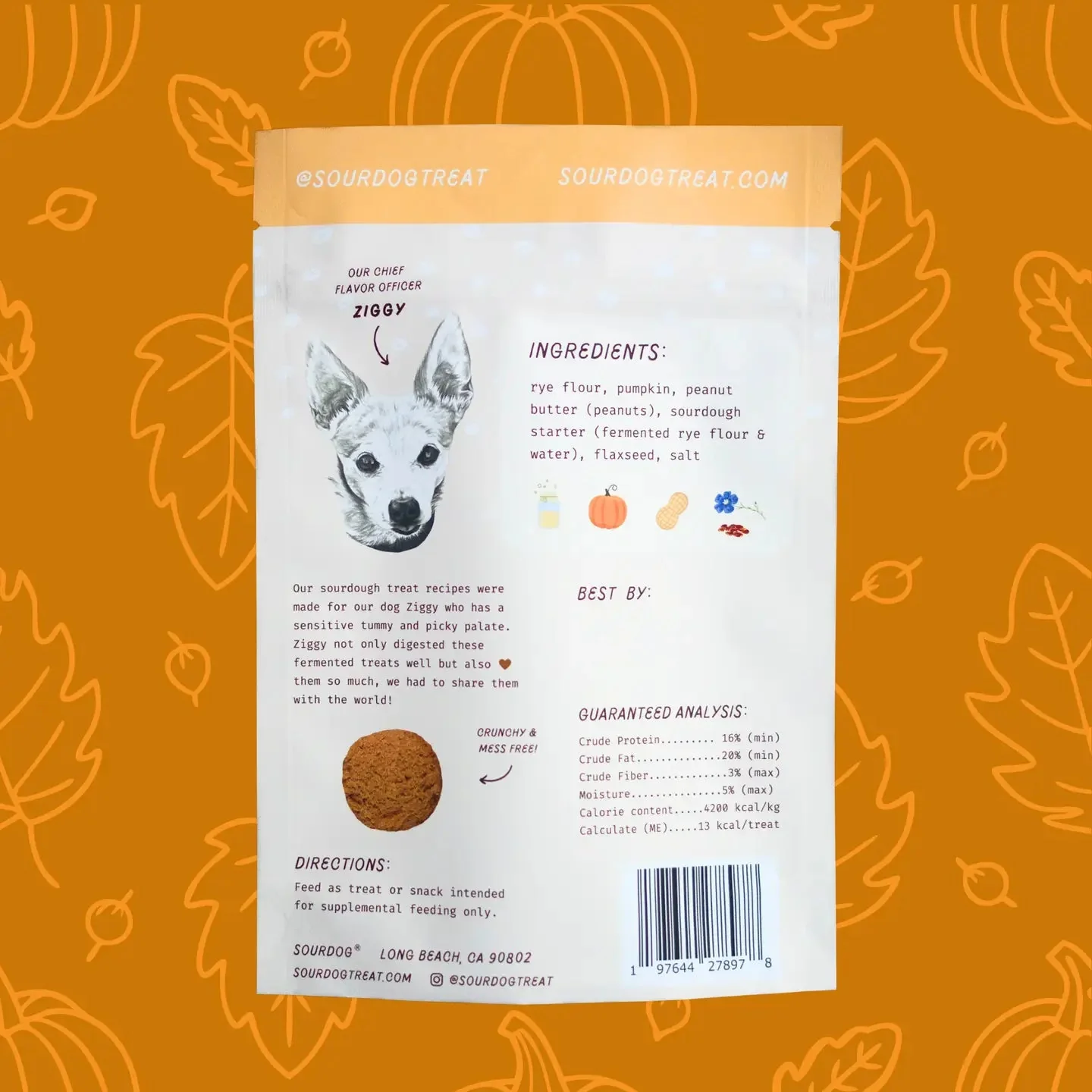 Pupkin Pie Pumpkin Sourdough Treats - Image 5