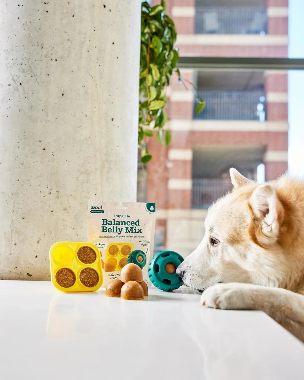 Pupsicle Treat Mix - Balanced Belly - Image 3