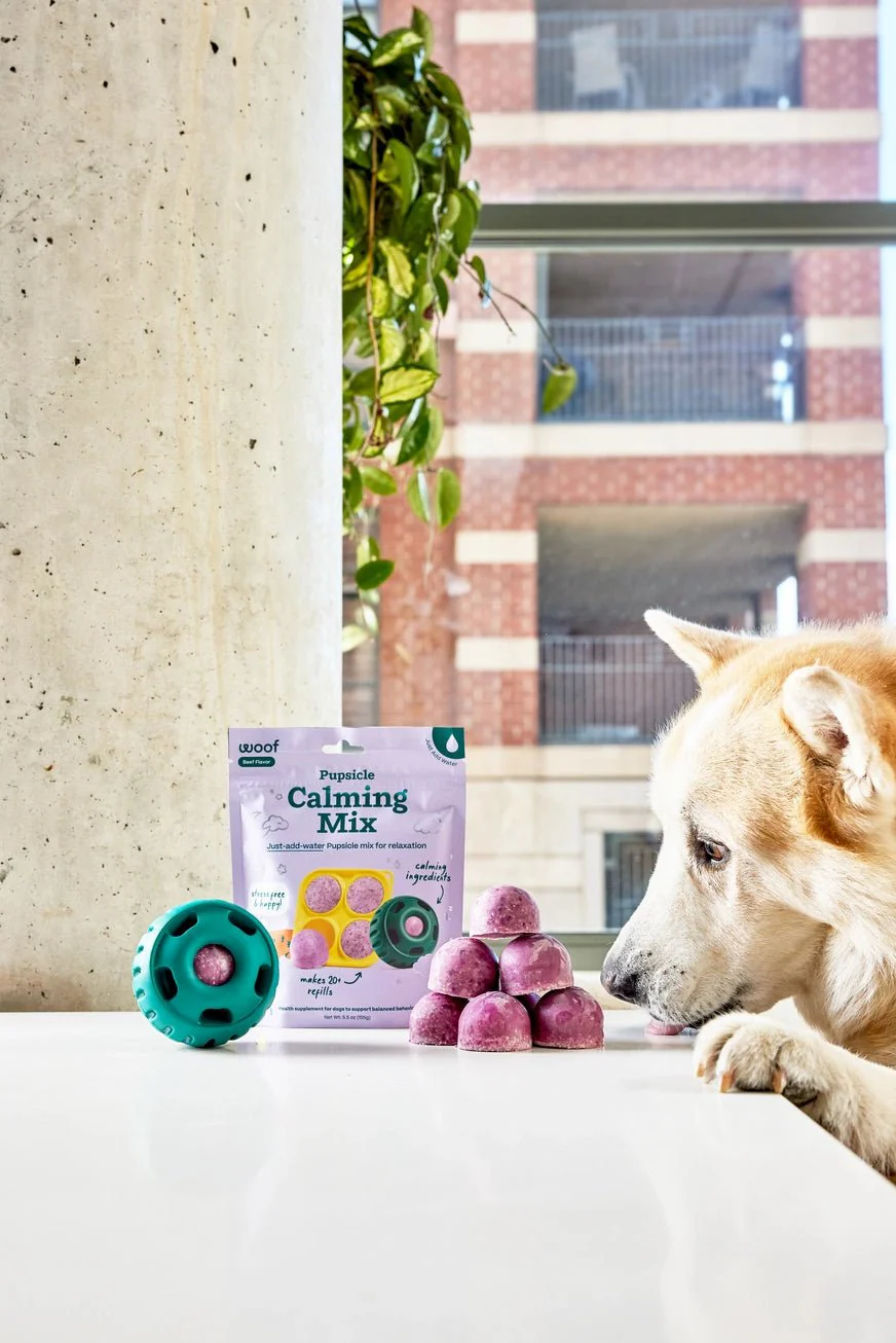 Pupsicle Treat Mix - Calming - Image 3