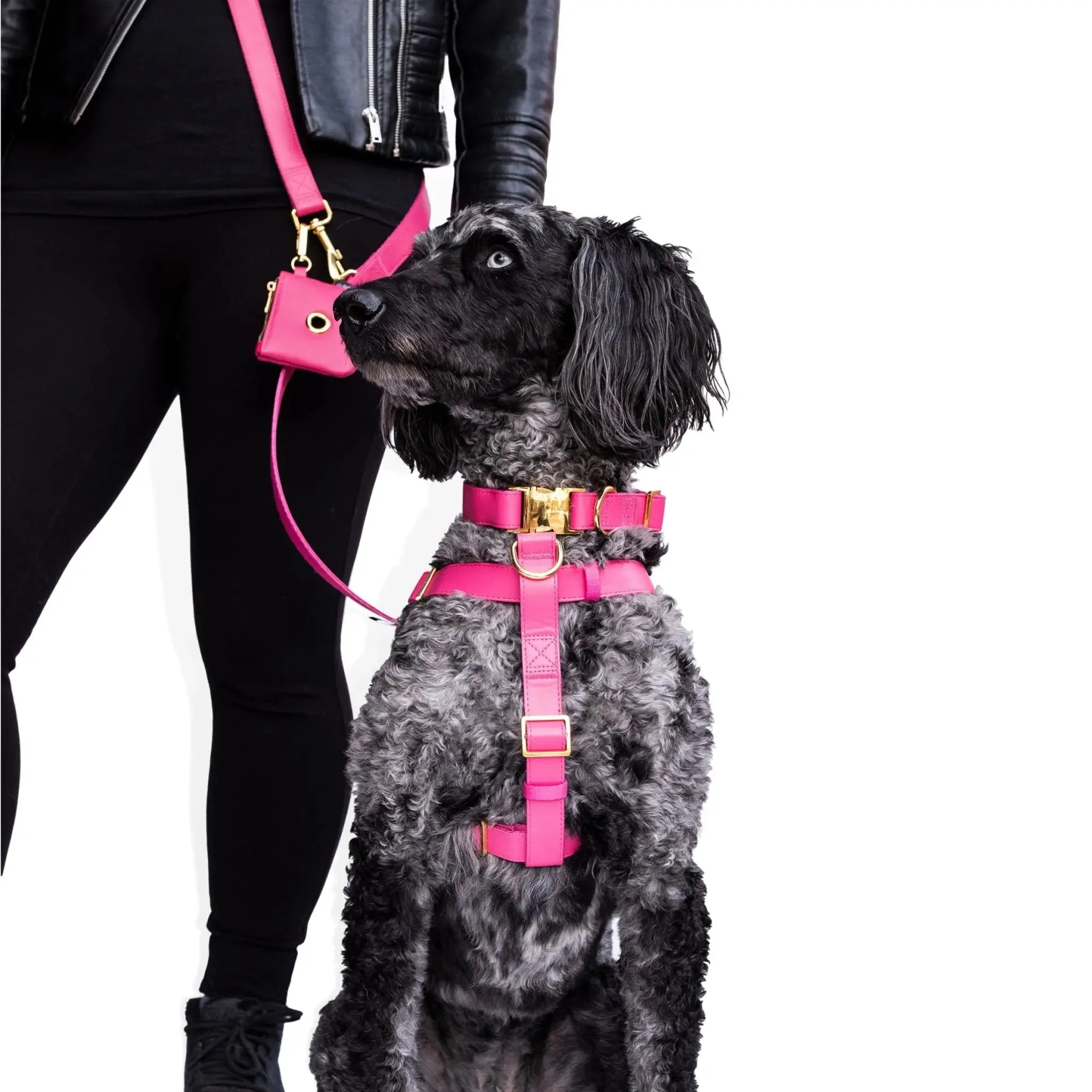 Riot Grwl Vegan Leather Harness - Image 2
