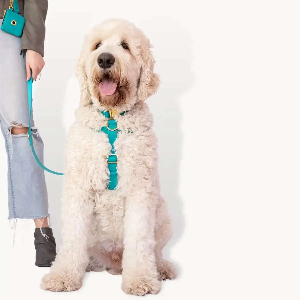 Riot Grwl Vegan Leather Harness - Image 3