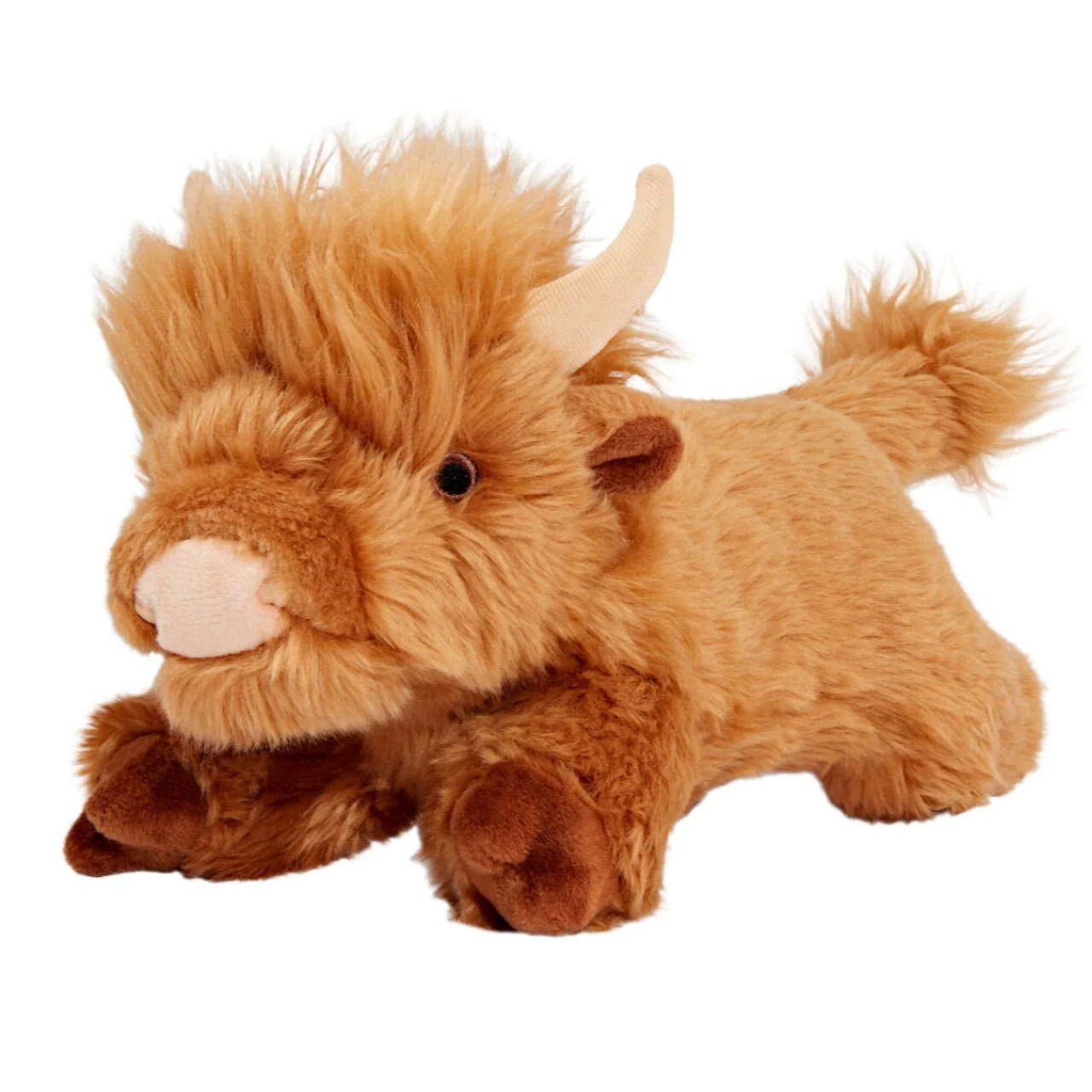 Highland Shaggy Cow - Image 4