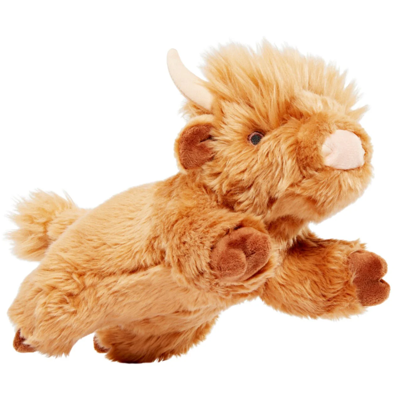Highland Shaggy Cow - Image 5