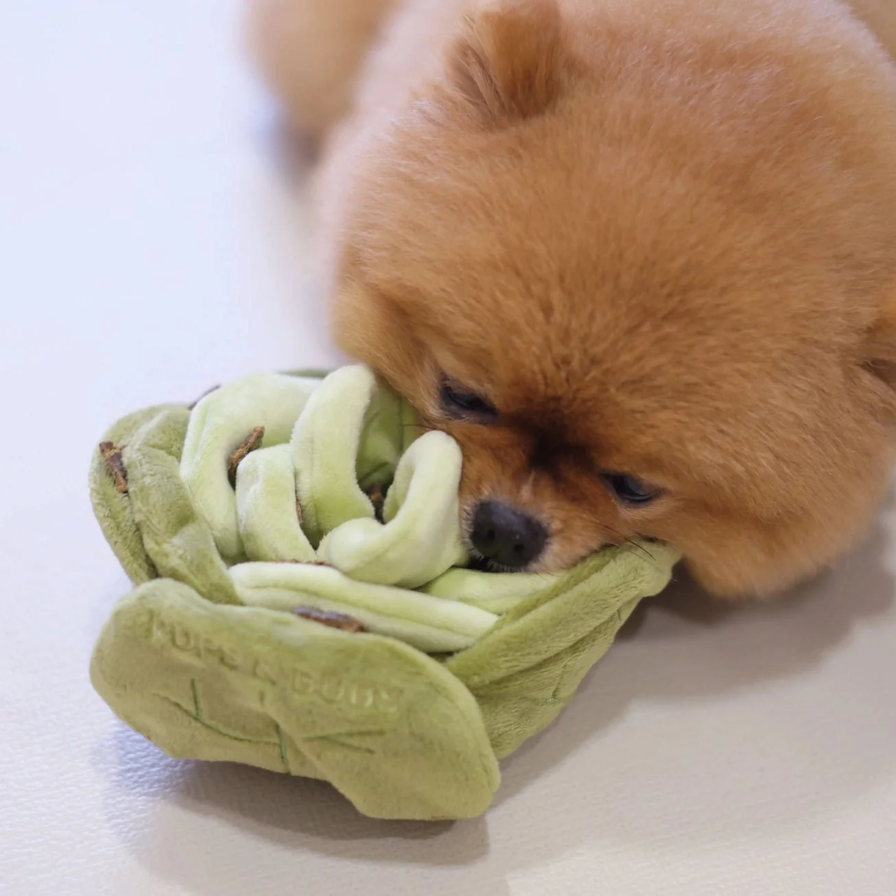 Snuffle Cabbage Nosework Toy - Image 2