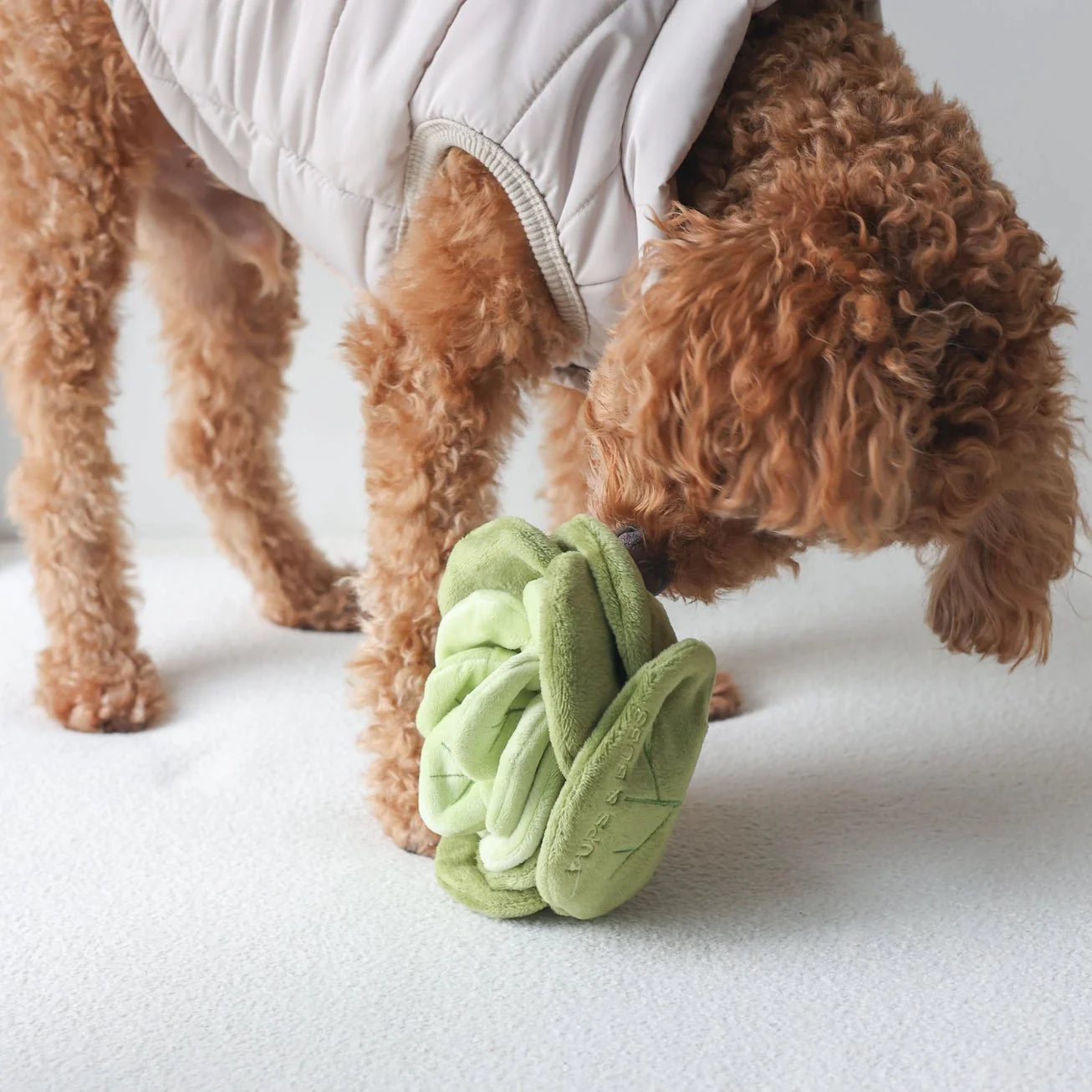 Snuffle Cabbage Nosework Toy - Image 4
