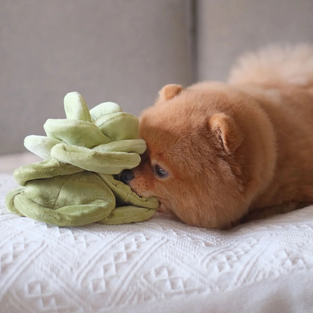 Snuffle Cabbage Nosework Toy - Image 5