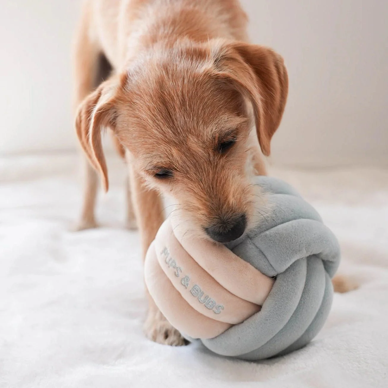 Snuffle Knot Nosework Toy