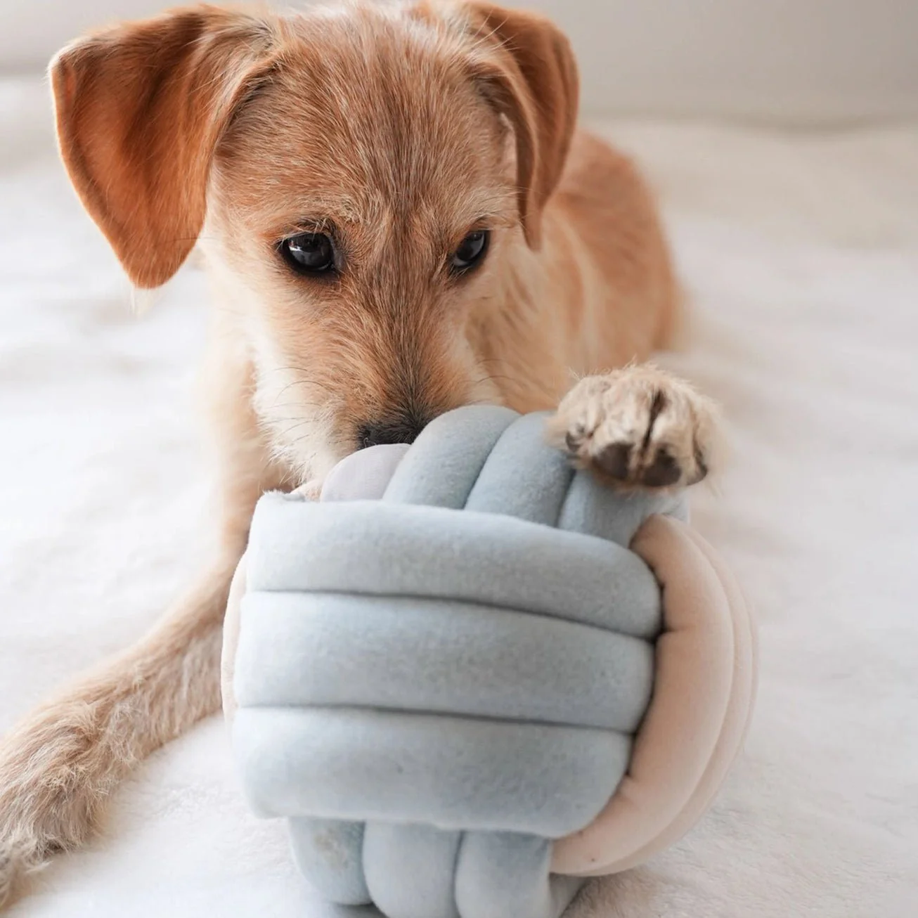 Snuffle Knot Nosework Toy - Image 2
