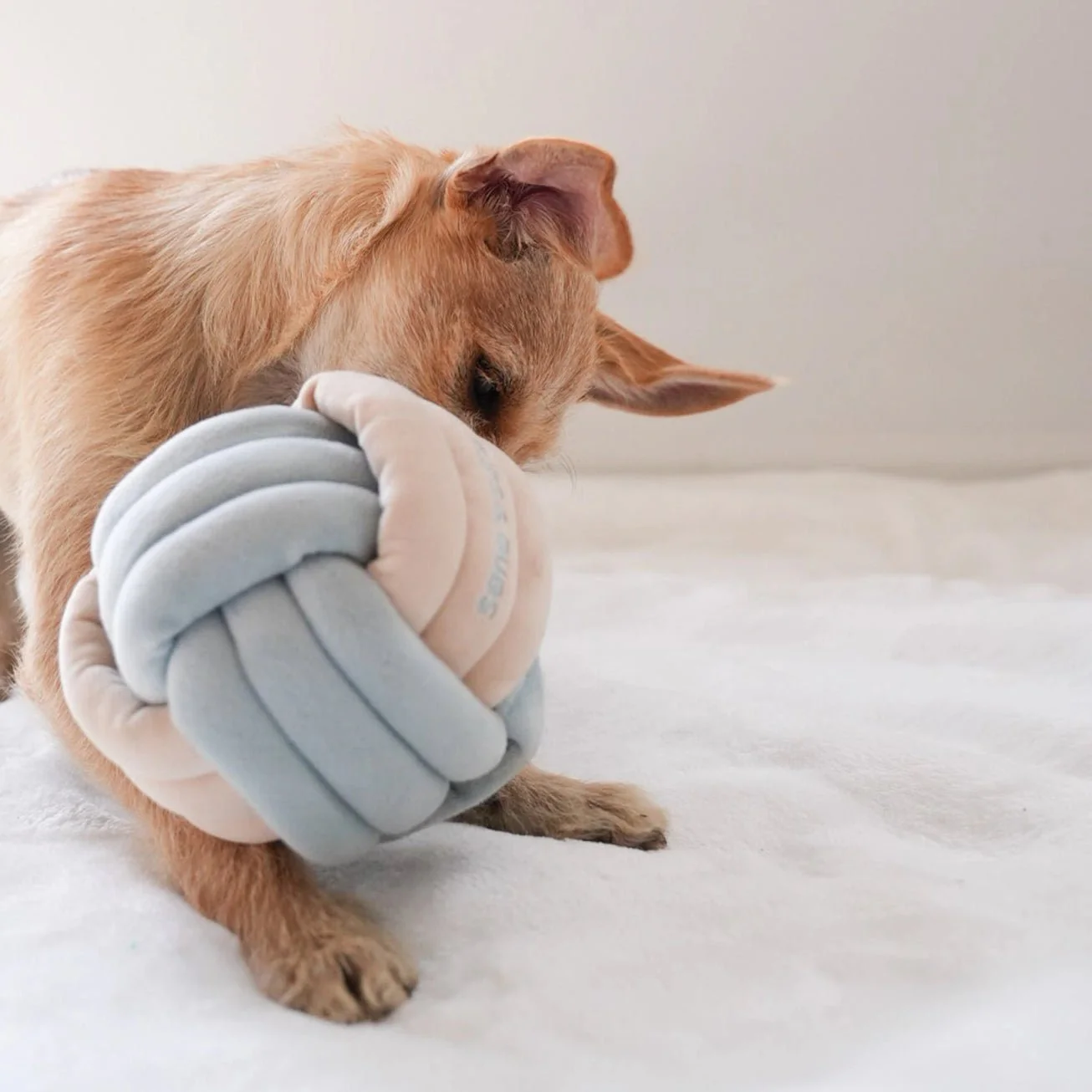 Snuffle Knot Nosework Toy - Image 5