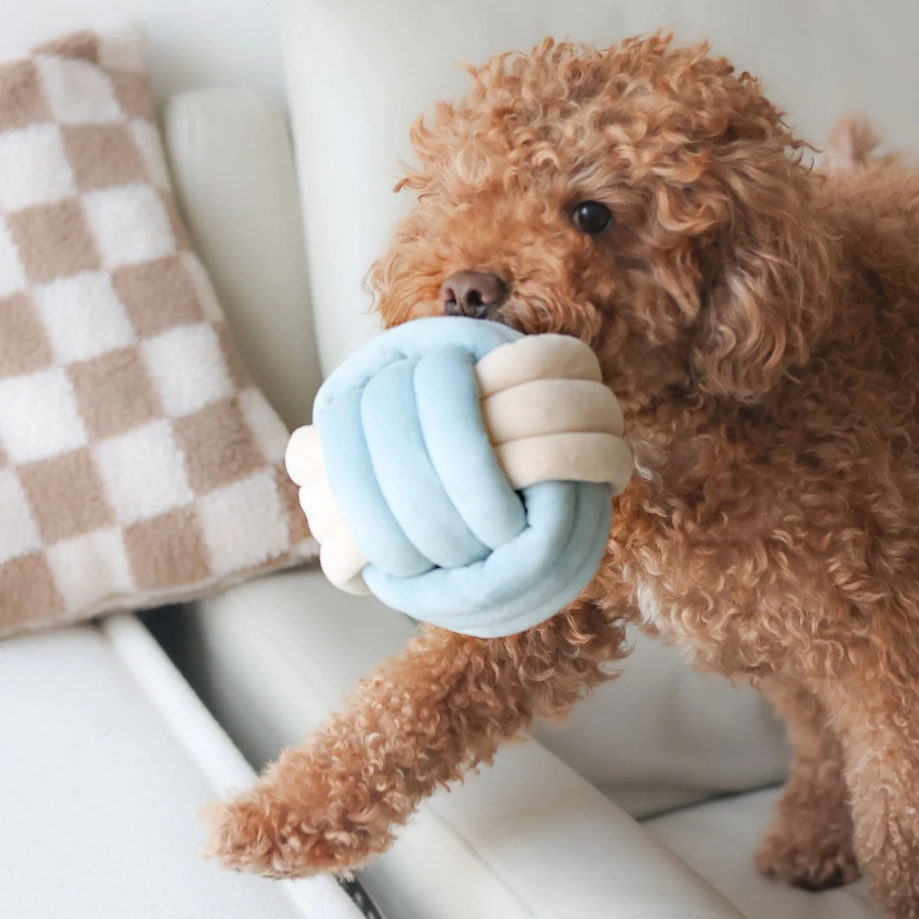 Snuffle Knot Nosework Toy - Image 8