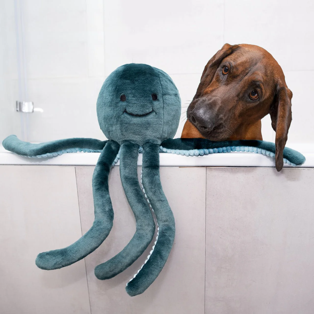 Stevie Octopus - Image 4