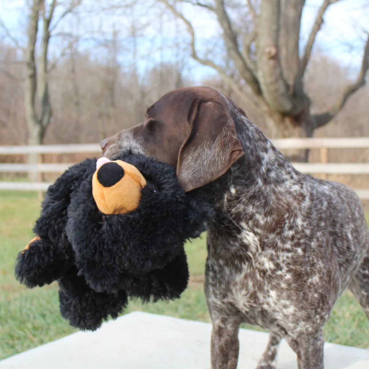 Stuffless Black Bear - Image 5