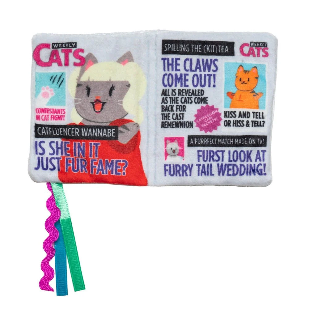 Tabby Tabloid Crunchy Cat Toy - Image 2
