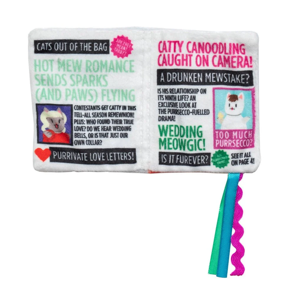 Tabby Tabloid Crunchy Cat Toy - Image 3