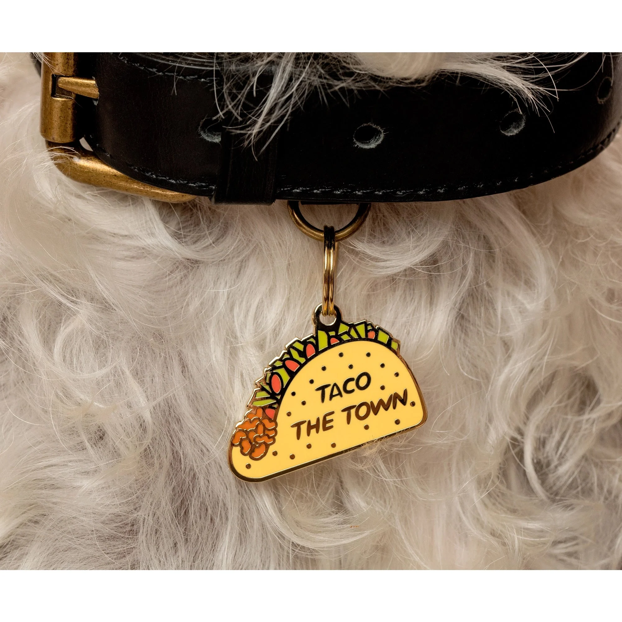 Taco the Town Pet ID Tag - Image 2