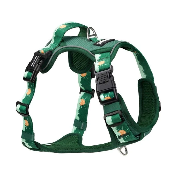 Tahoma Harness - Image 2