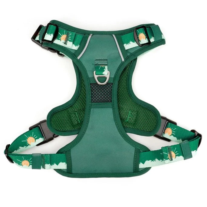 Tahoma Harness - Image 3