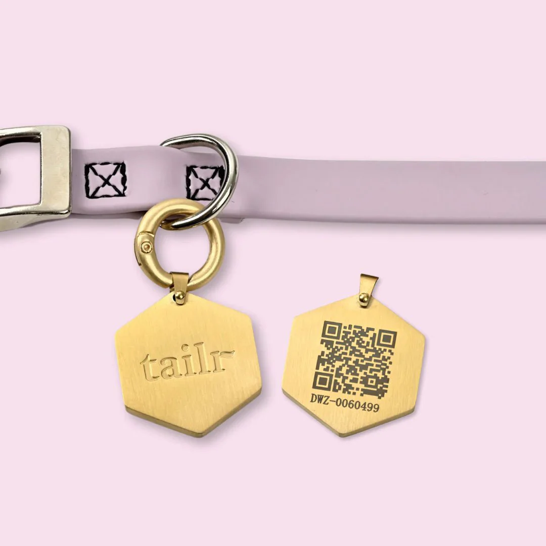 Tailr Classic ID Pet Tag