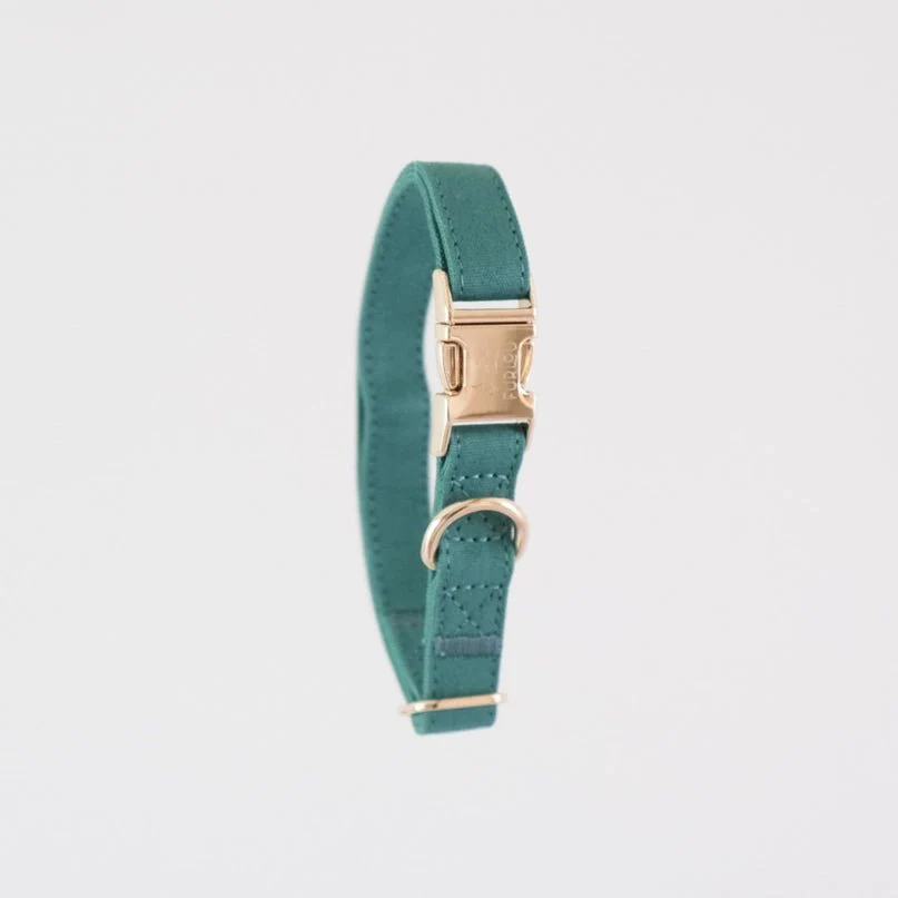 Teal Collar