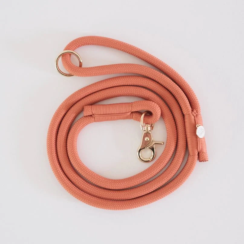 Terracotta Braided Rope Leash