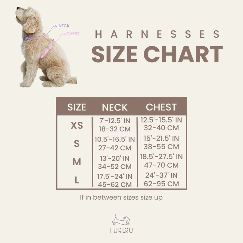 Terracotta Comfort Dog Harness - Image 3