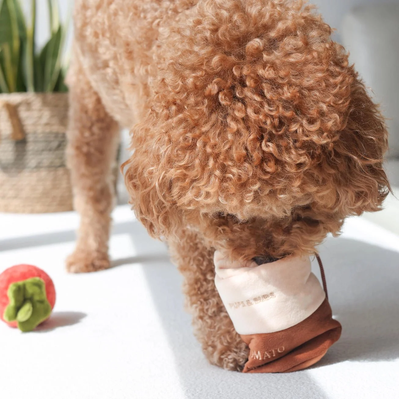 Tomato Soup Nosework Toy - Image 4