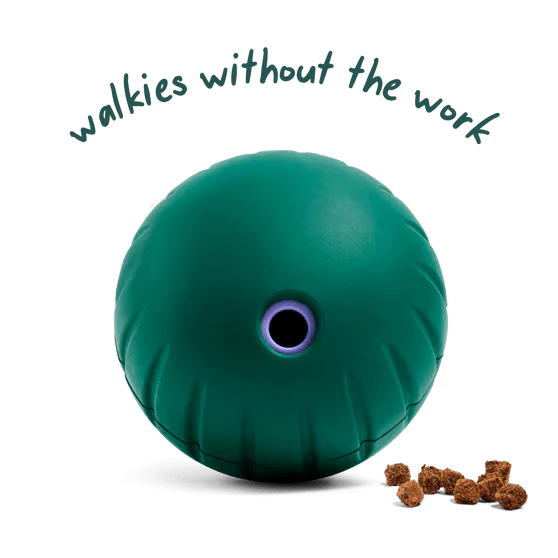 Walkabout Toy - Image 2