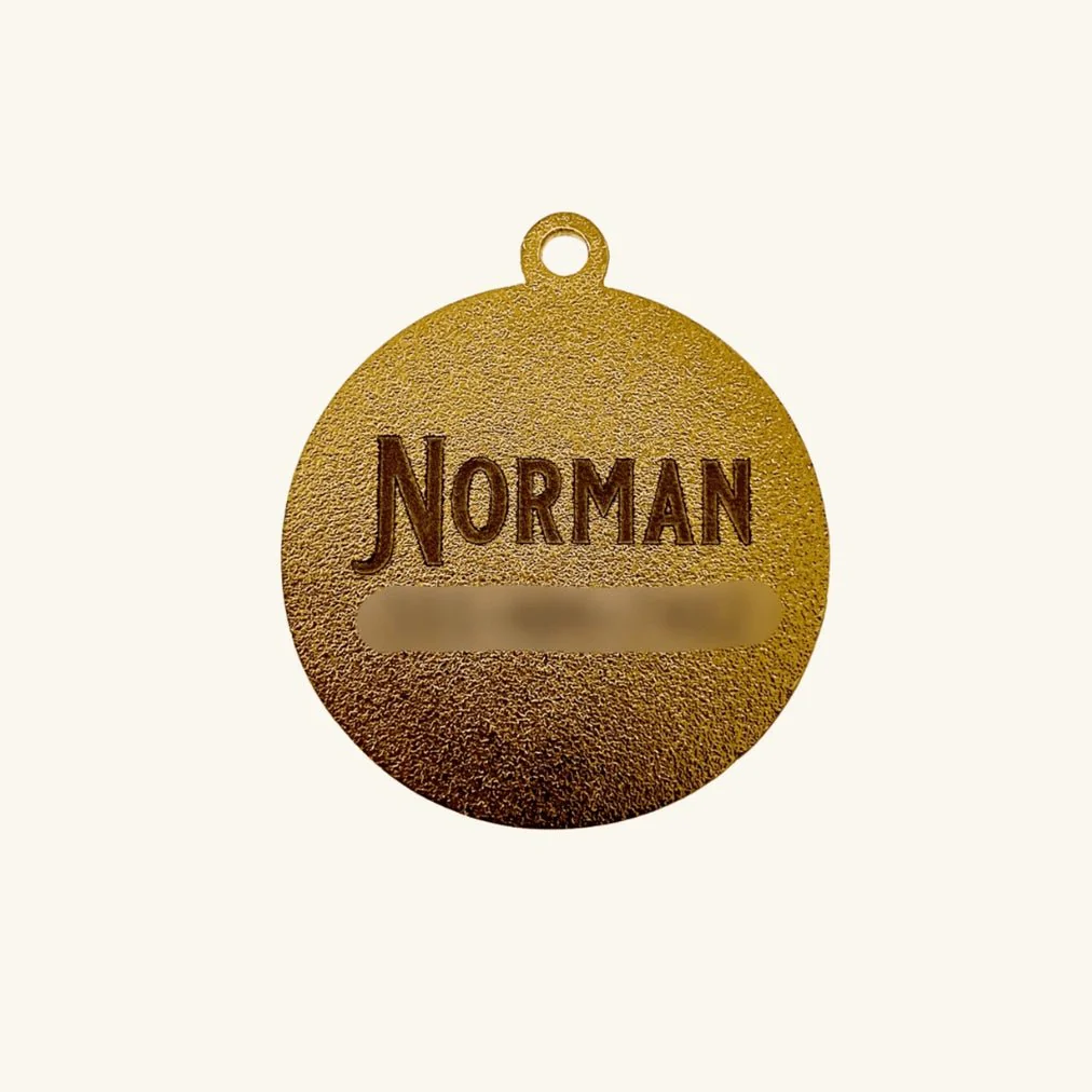 Wanderlust Pet ID Tag - Image 3