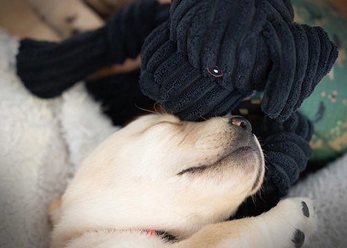 Warrior Canine Connection Lab Knottie® Plush Toy - Image 8