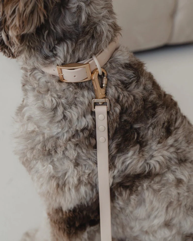 Waterproof Nude Collar - Image 2