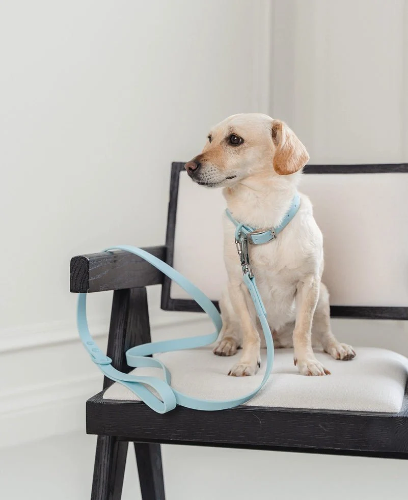 Waterproof Sky Blue Collar - Image 2